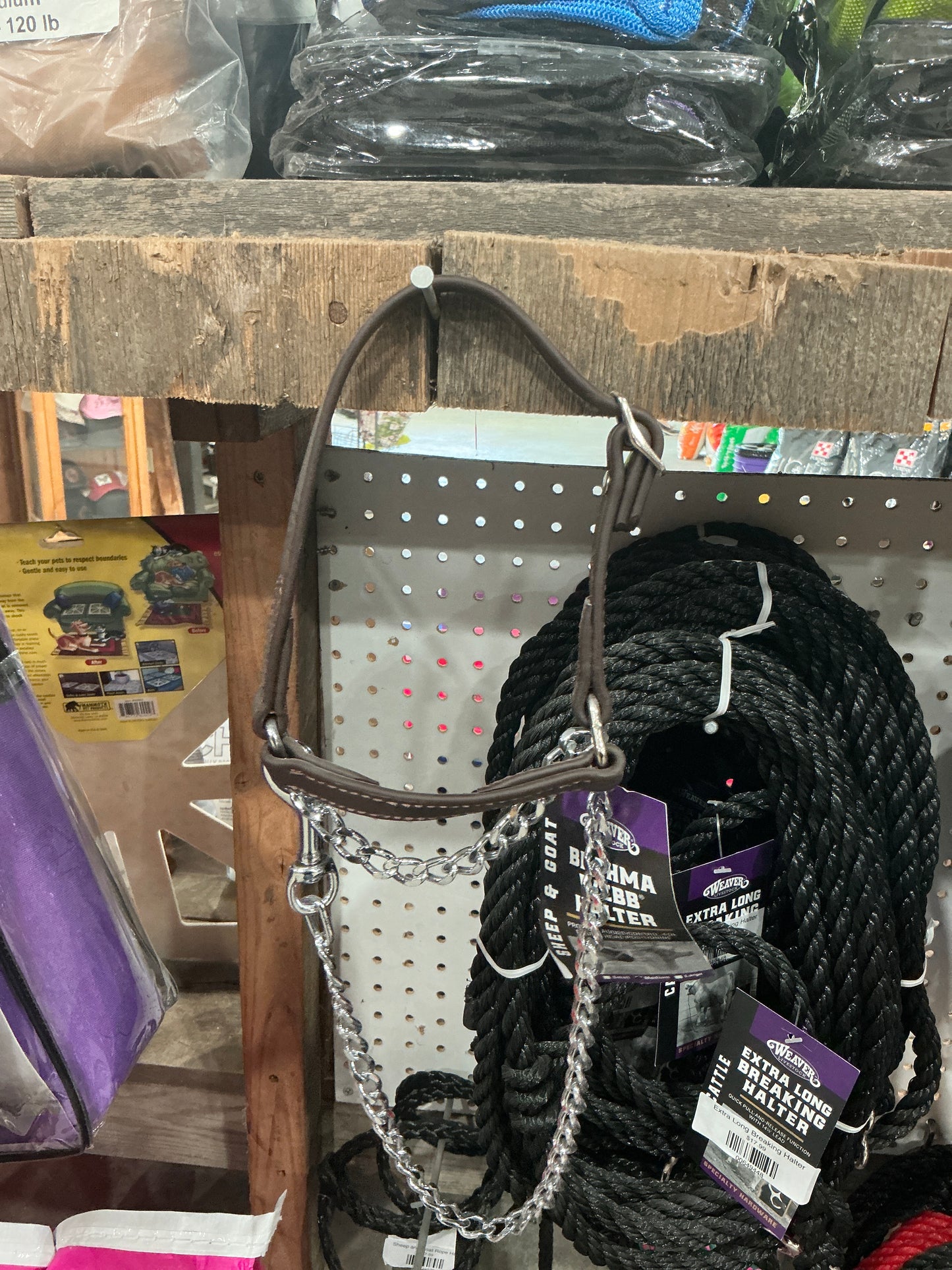 Brahma Webb Halter Large