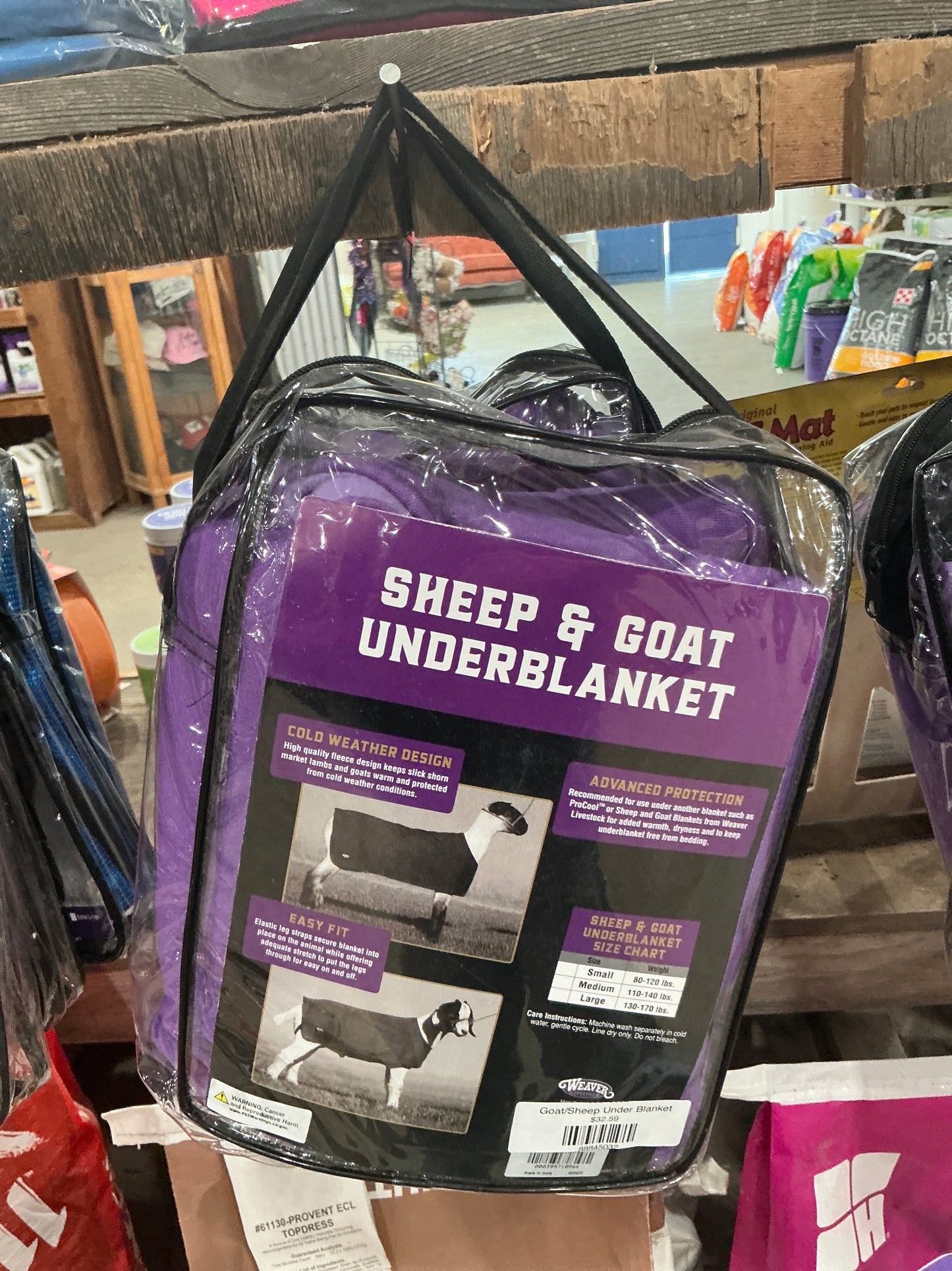 Goat/Sheep Under Blanket