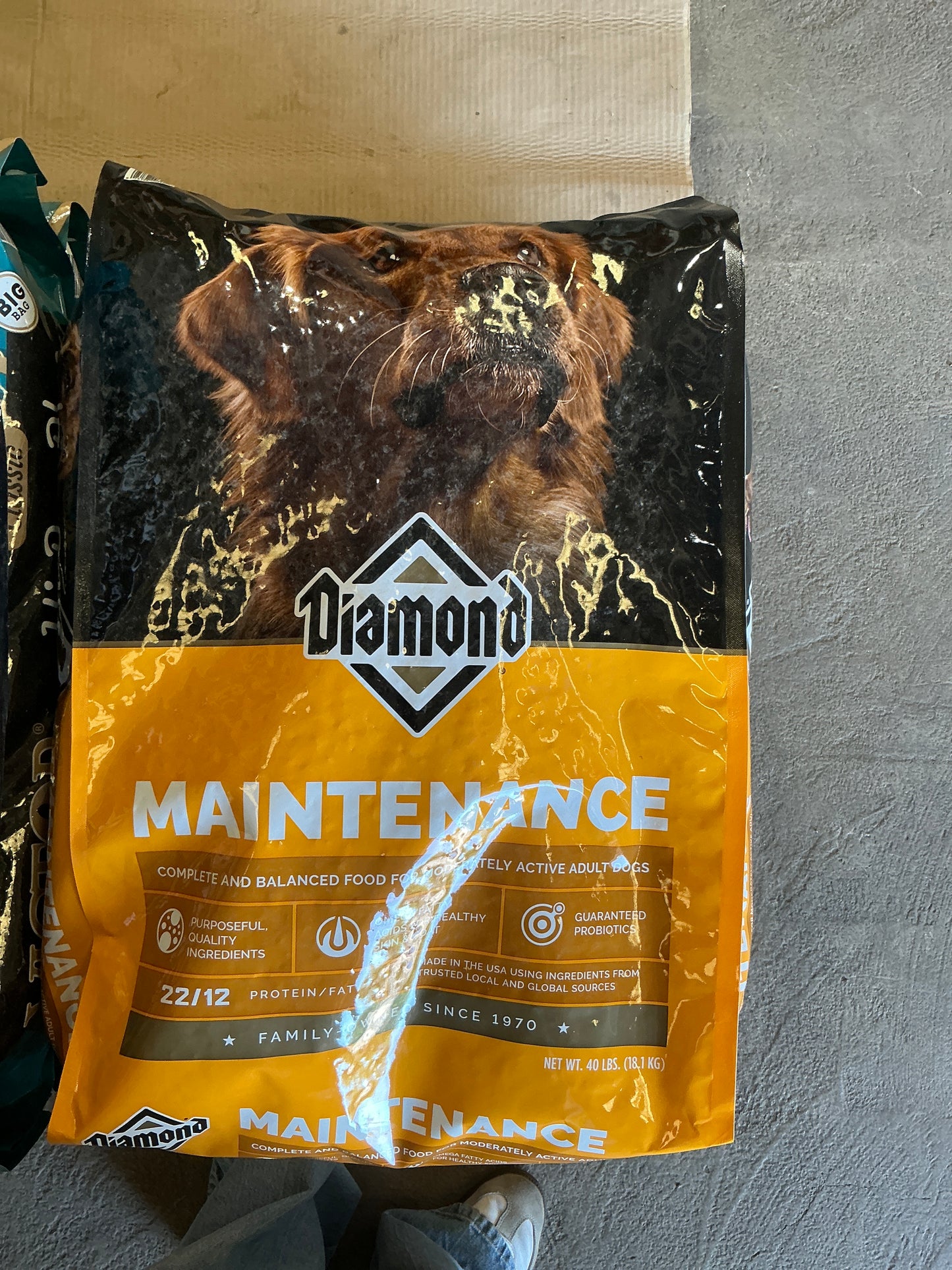 Diamond Dog Maintenance