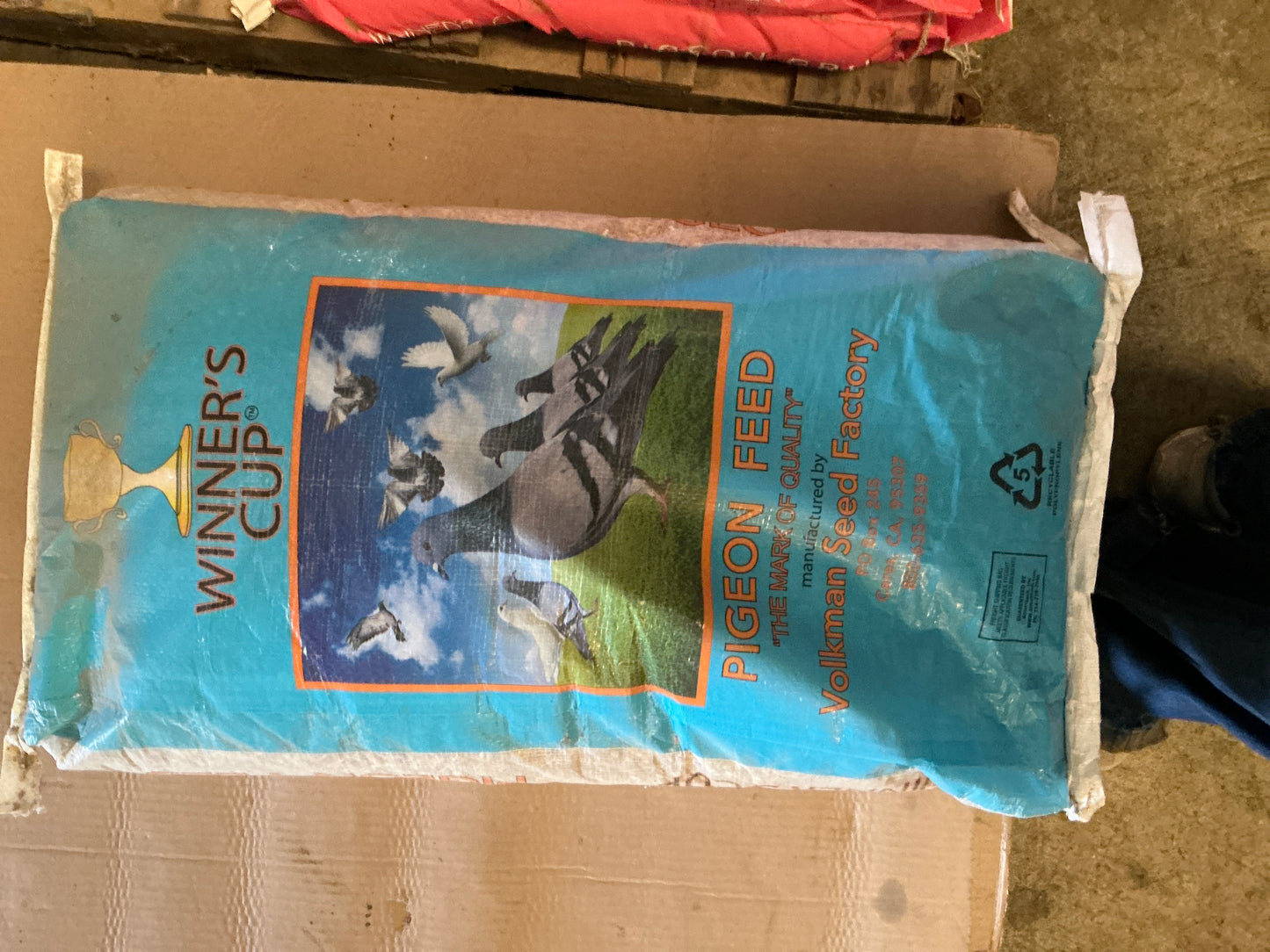 Pigeon Winners Cup 15.5%