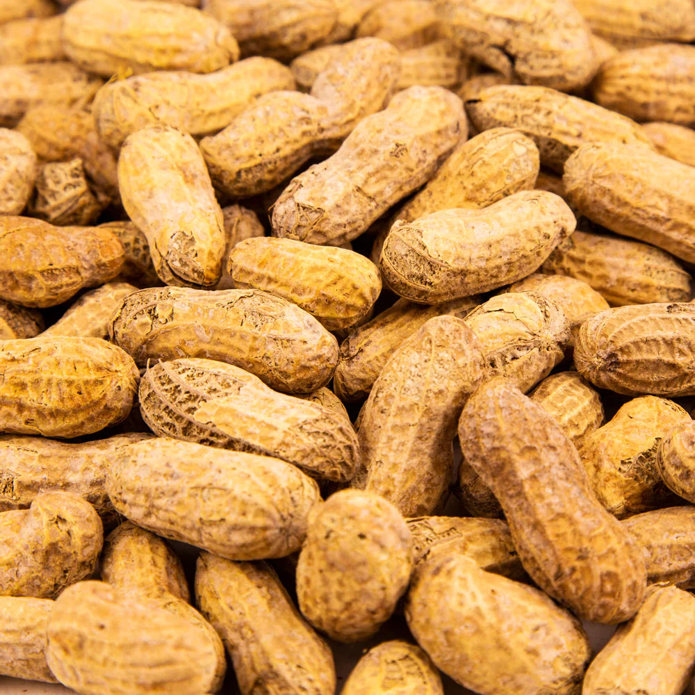 Kings Peanut in Shell