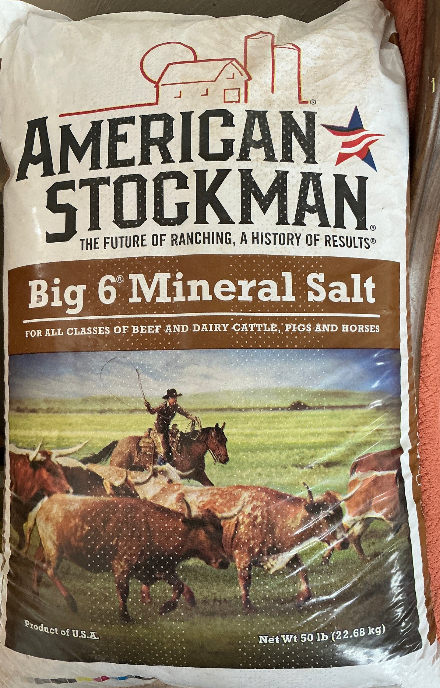 Big 6 mineral salt
