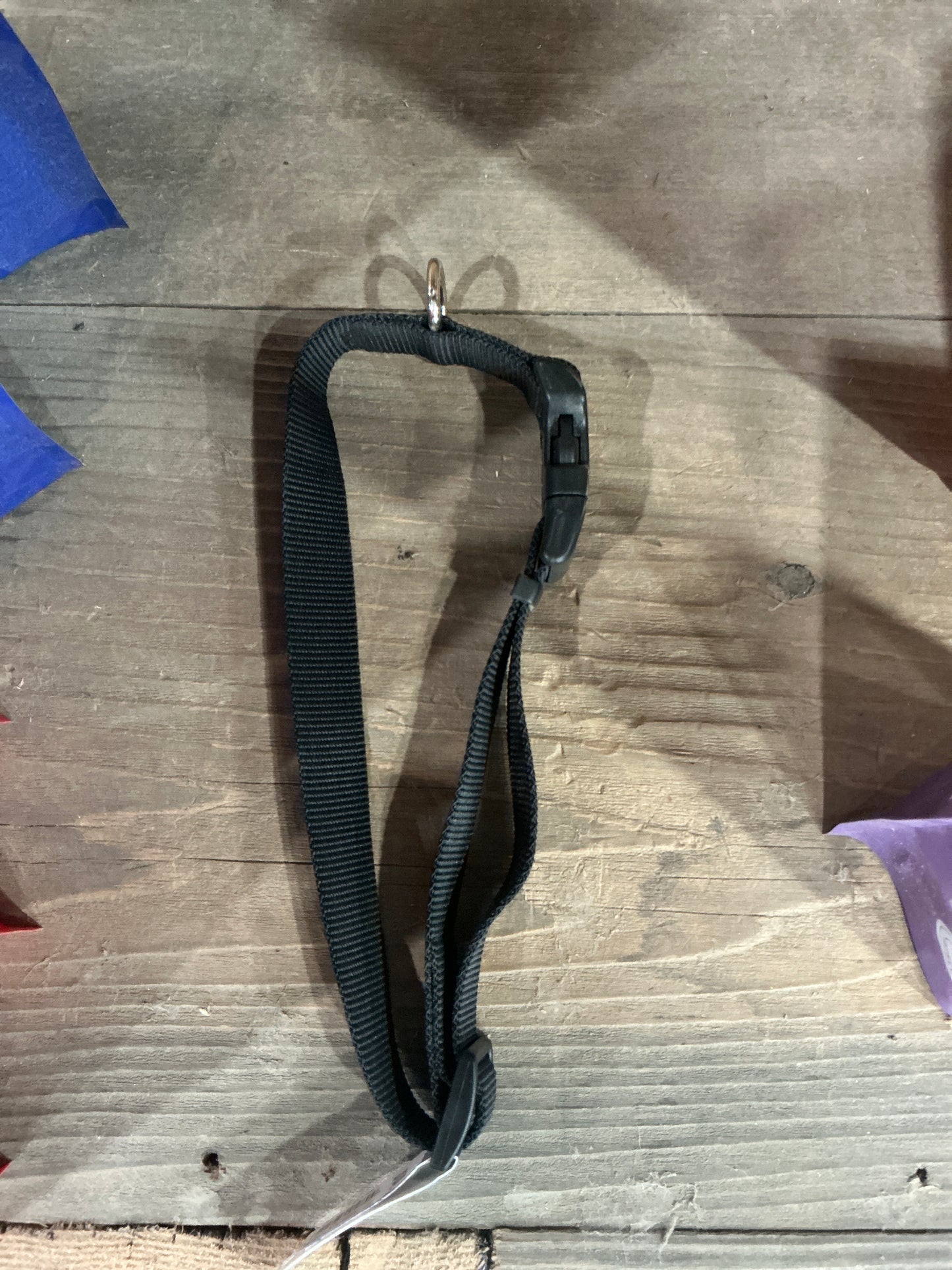 Dog Collar