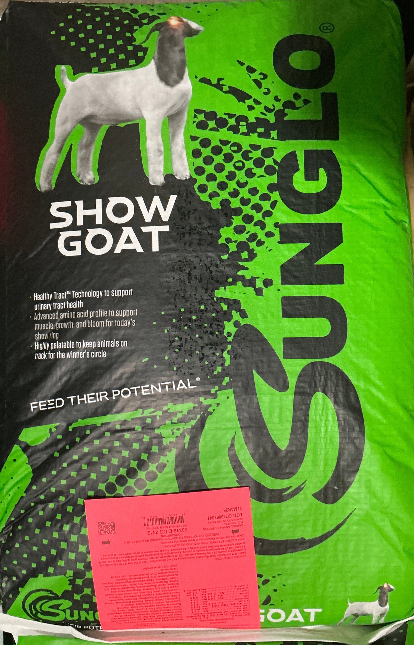 Sunglo Goat
