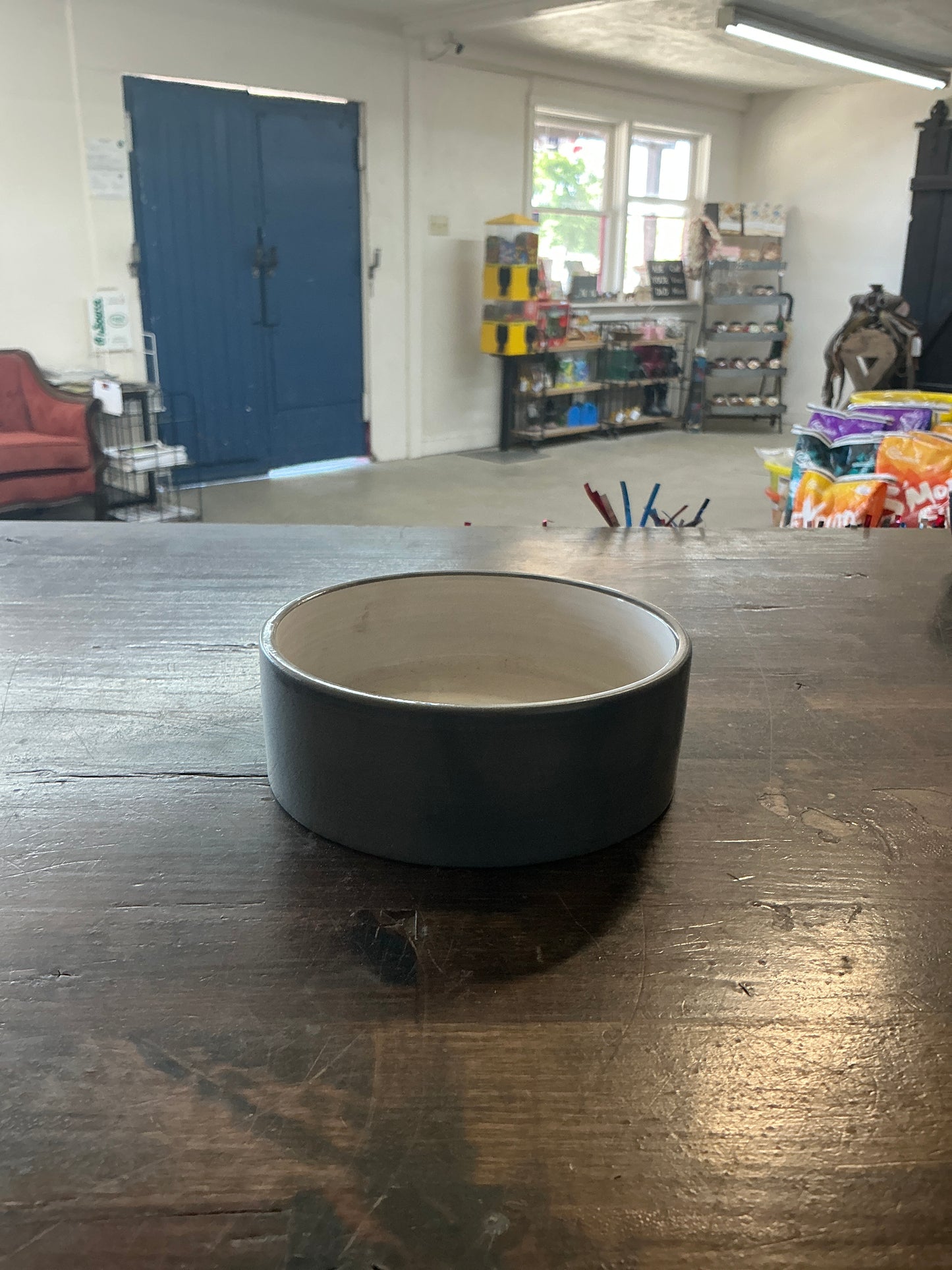 Small Dog Food Bowl