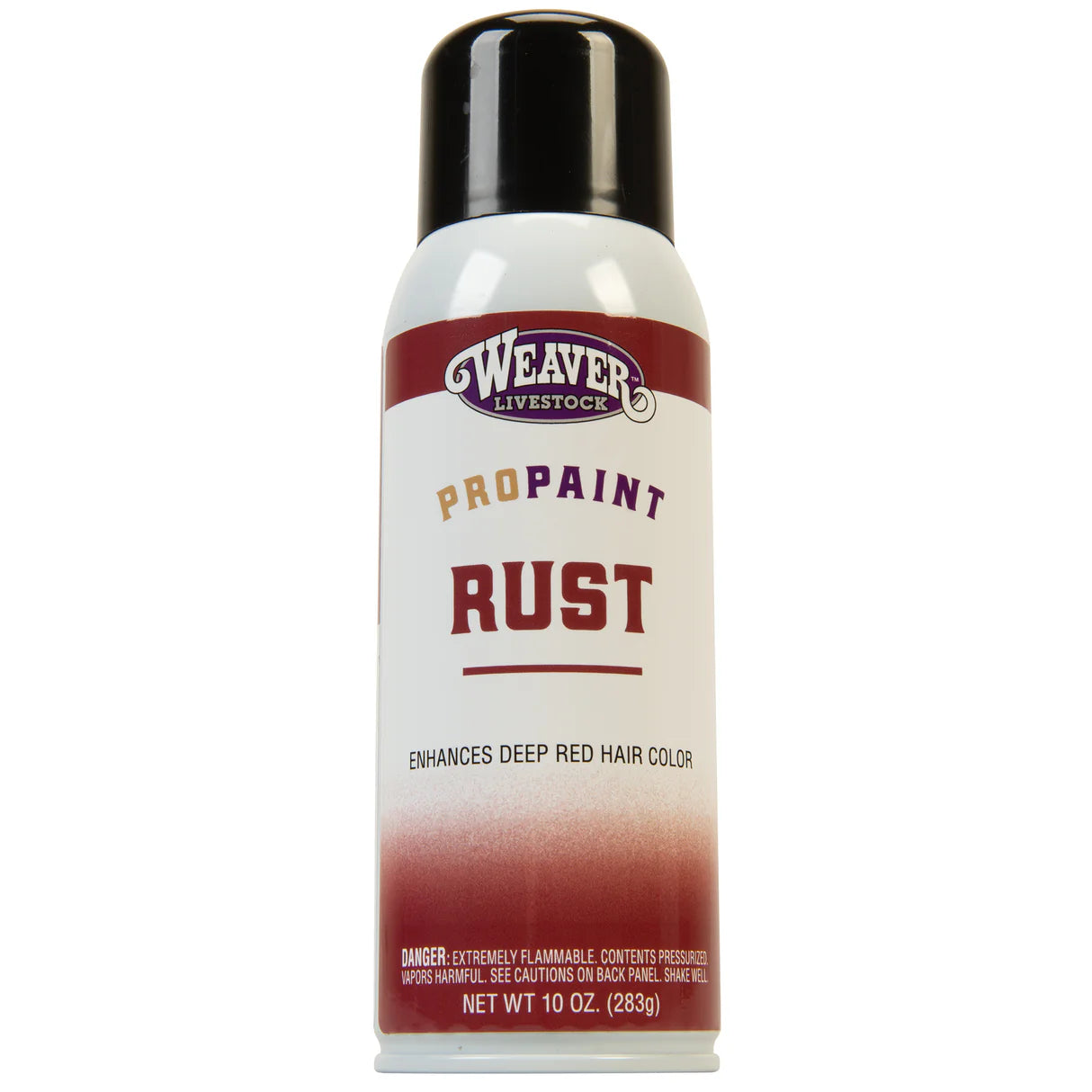 Pro Paint Rust