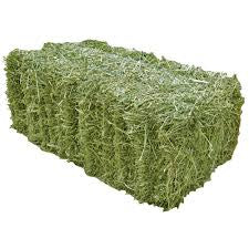 * Alfalfa #1 Hay- Livestock