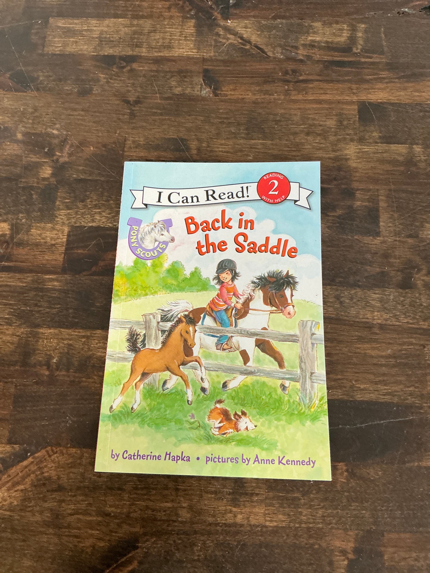 Book — “Back in the Saddle”
