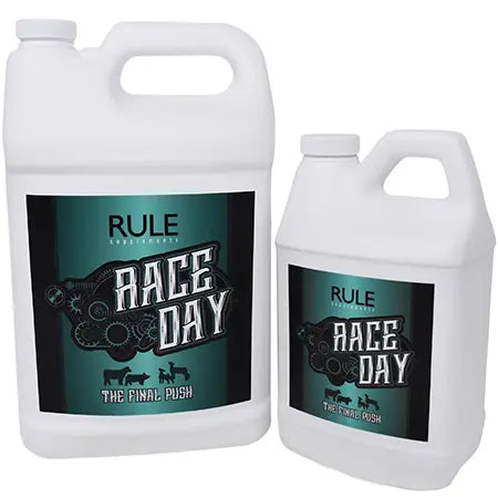 Race Day