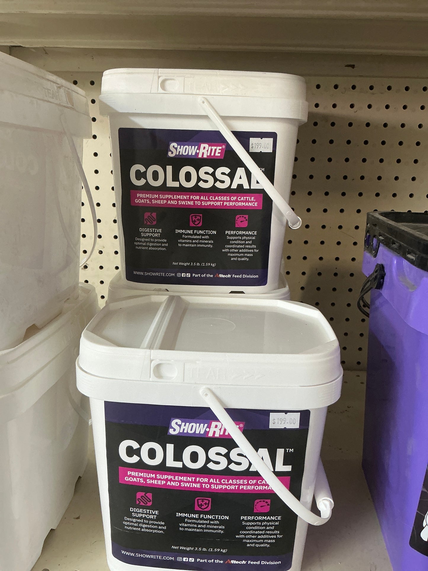Colossal *