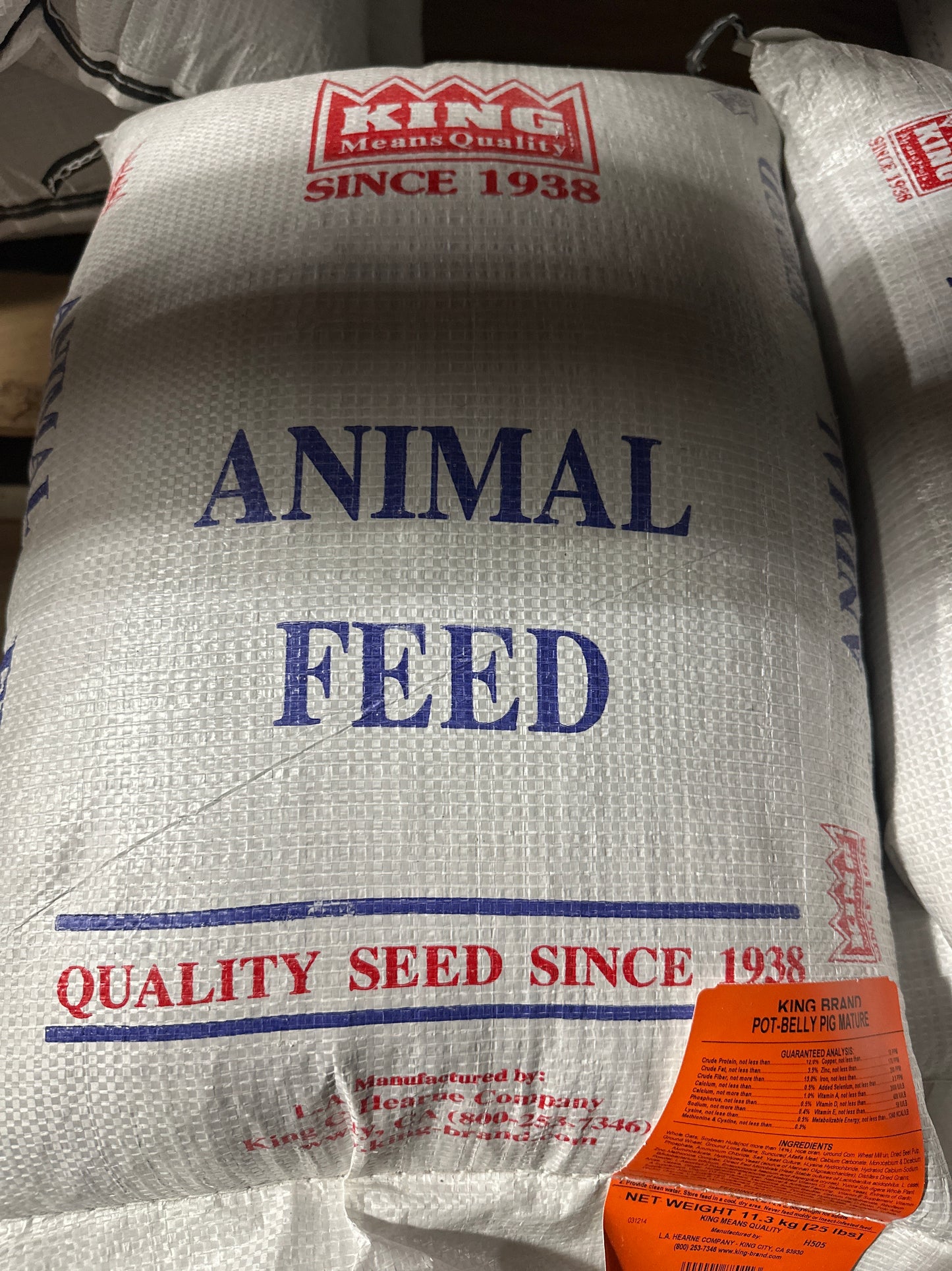 King Pot Belly Pig Mature 25lb