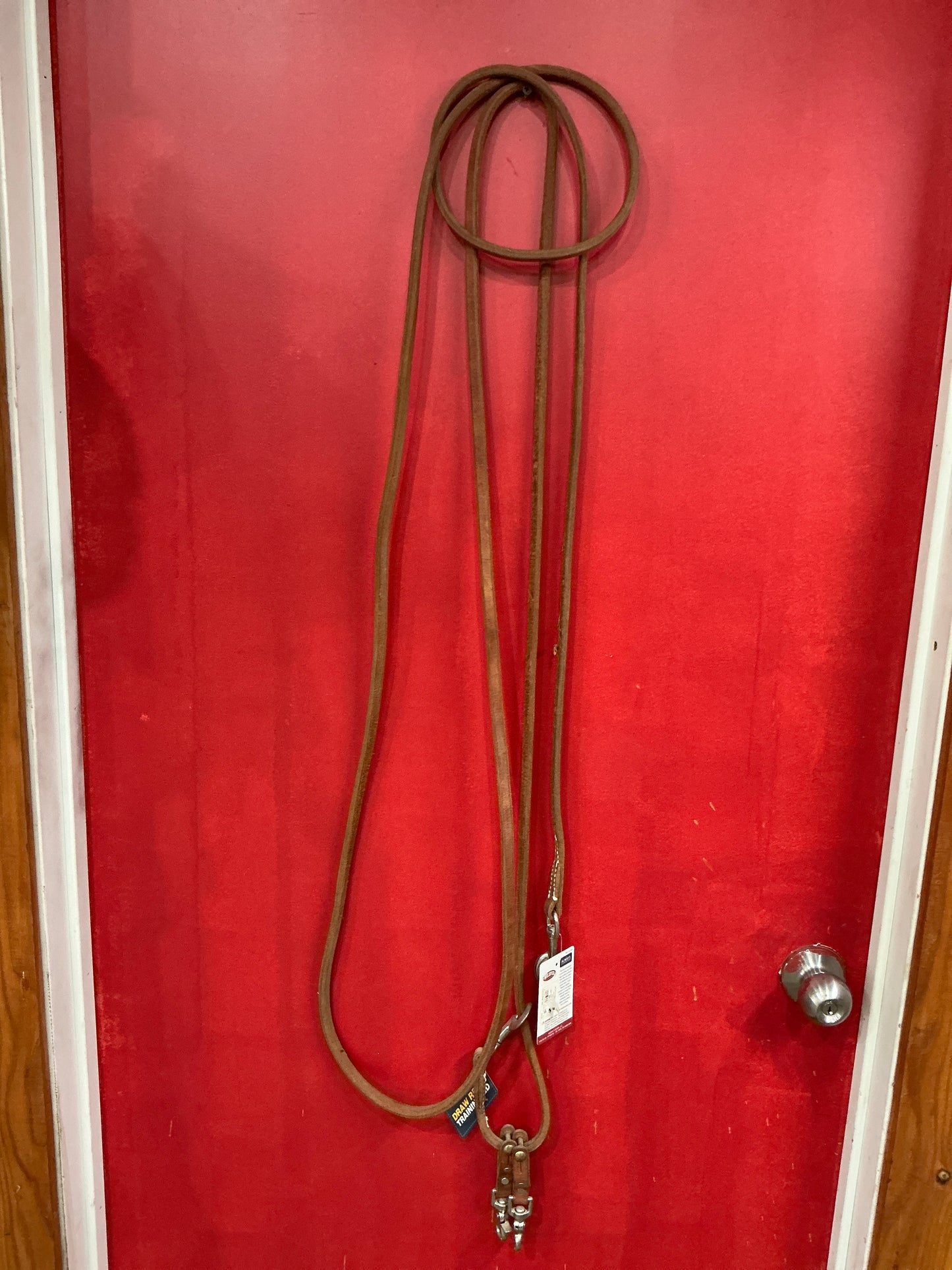 Draw Reins