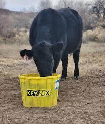 Key Lix 20% Multipurpose 125lb