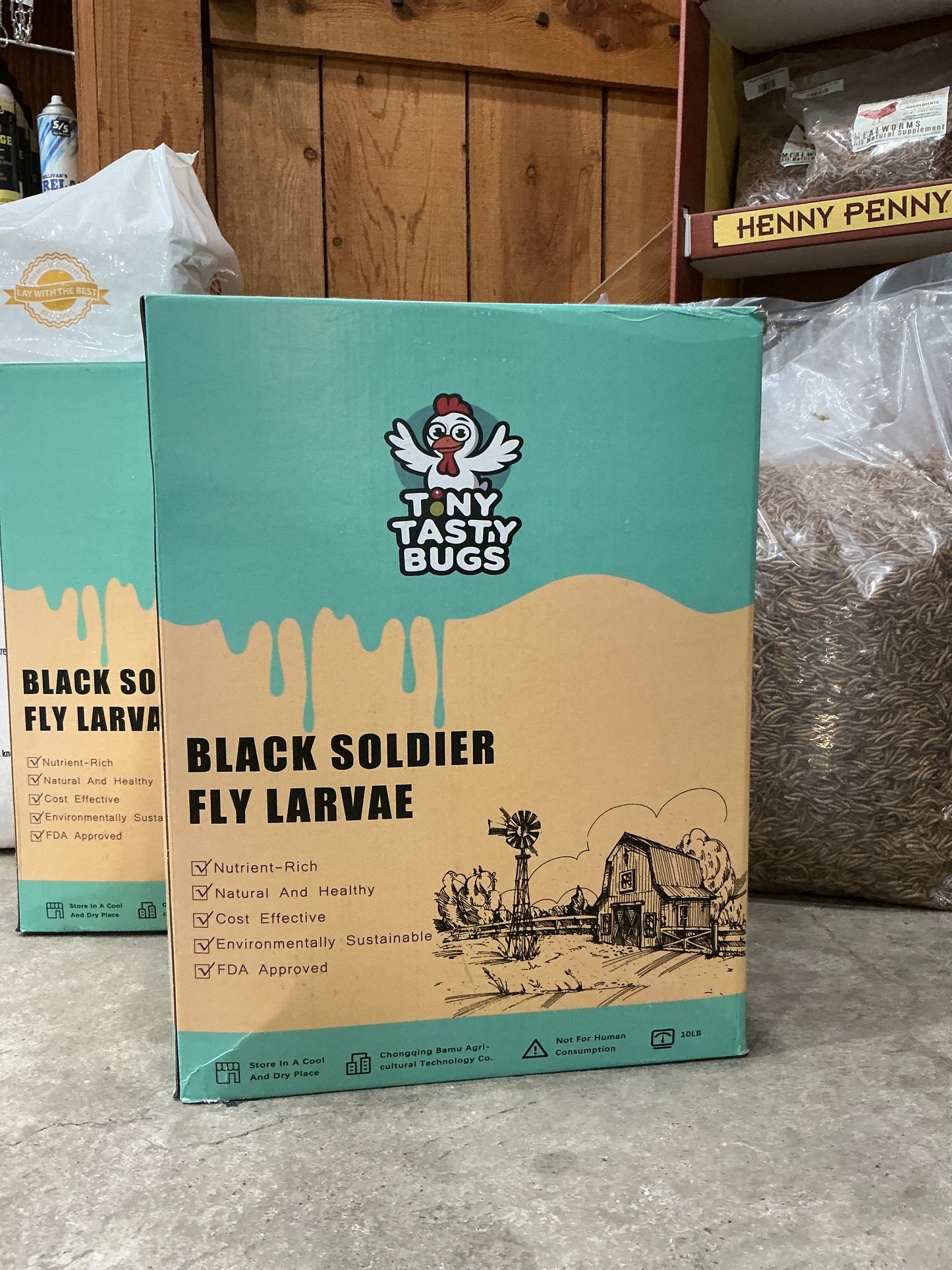 Black Soldier Fly Lava 11lb Box