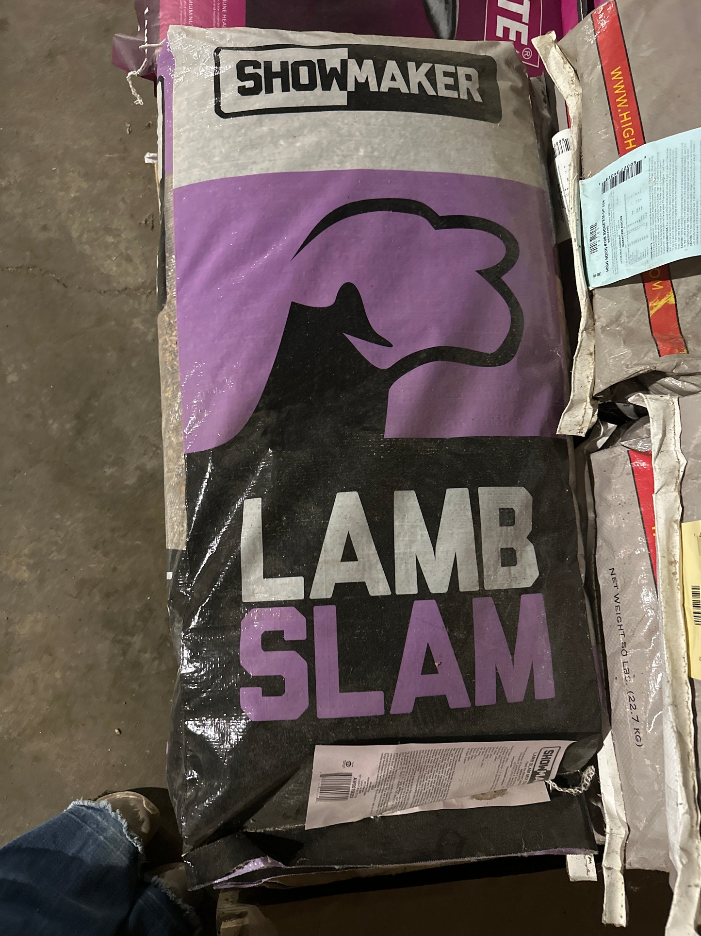 Showmaker Lamb Slam