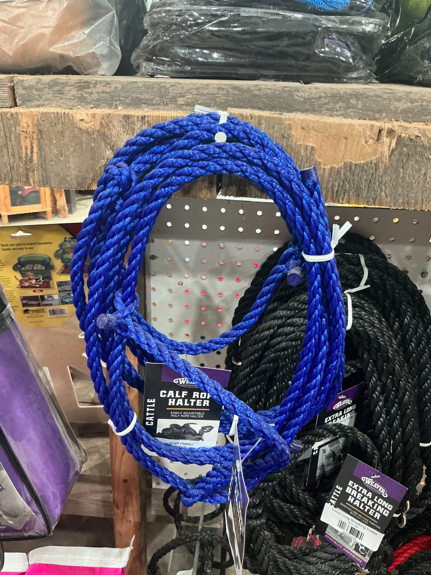 Calf Halter