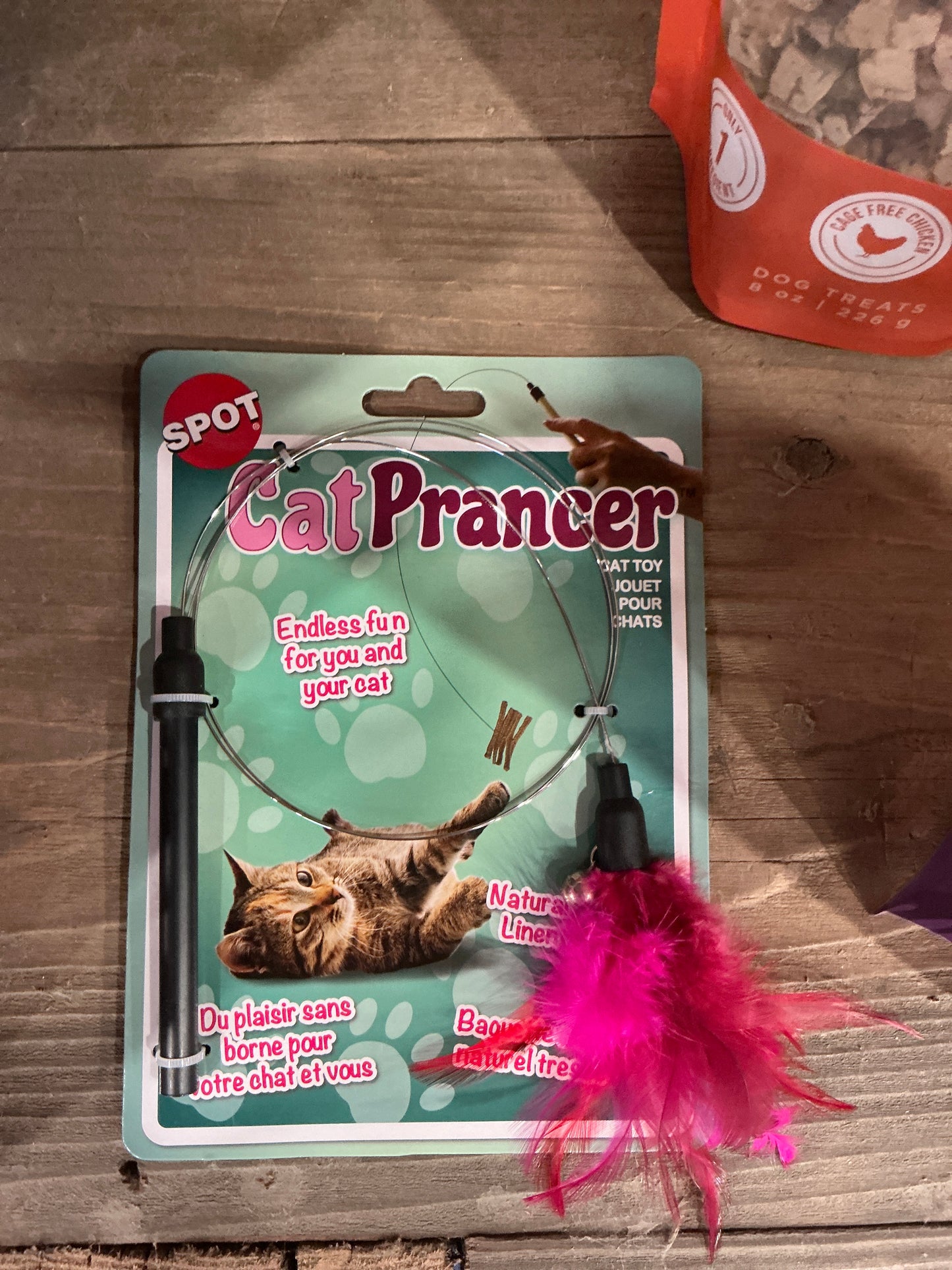 Cat Prancer