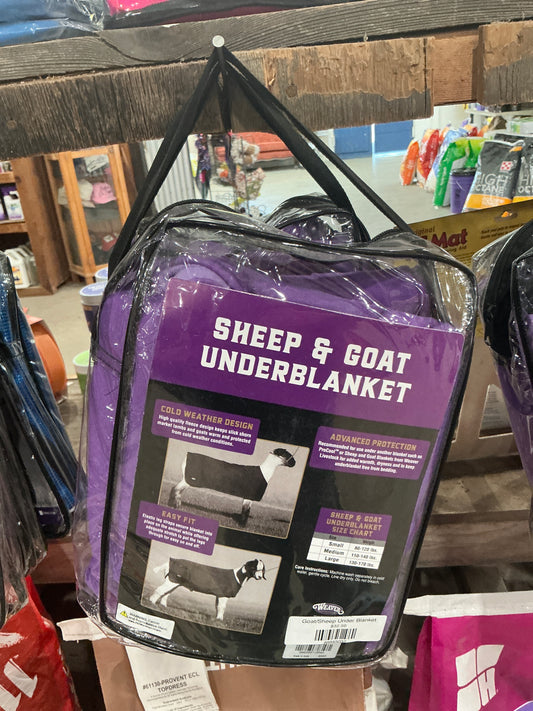 Goat/Sheep Under Blanket