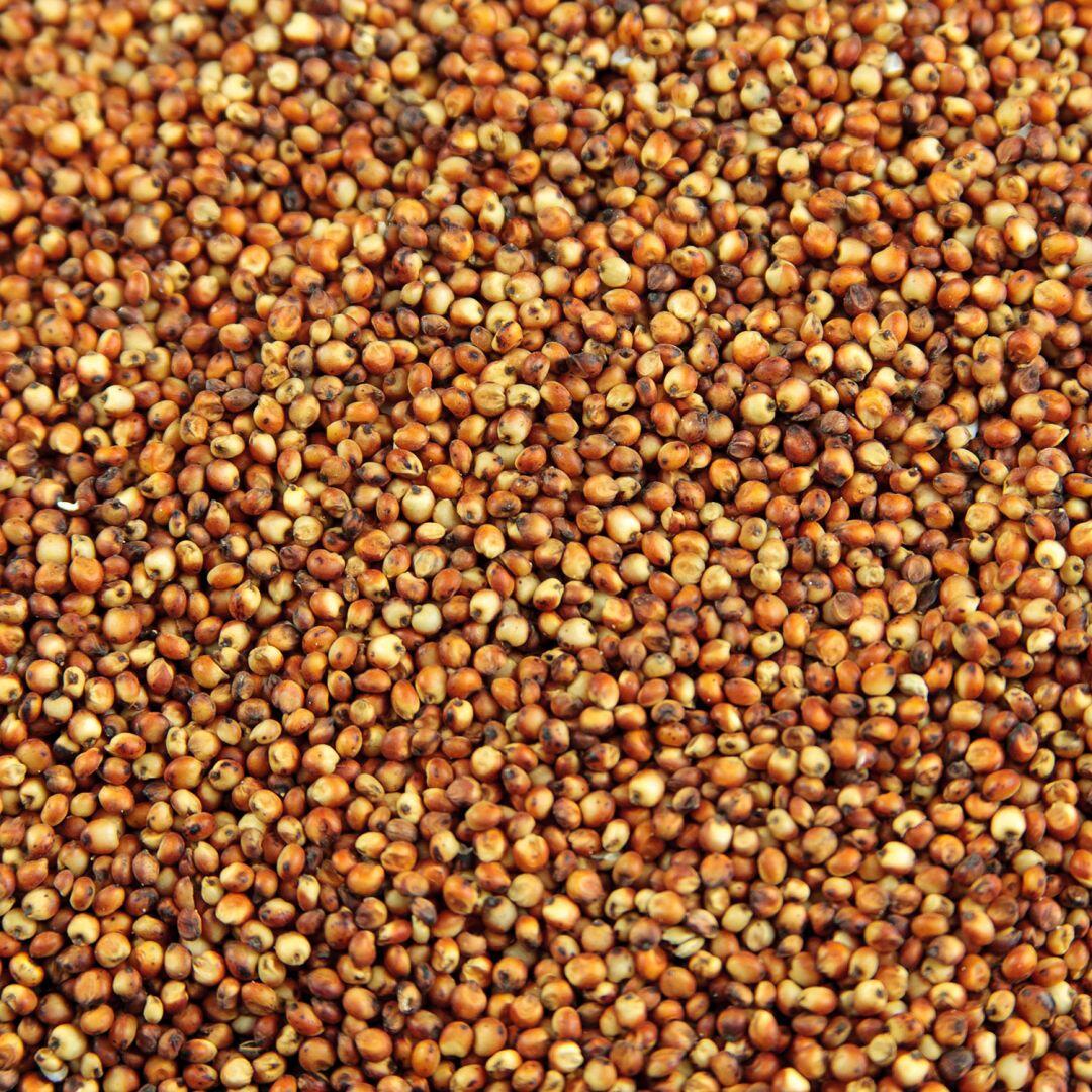 Whole Milo