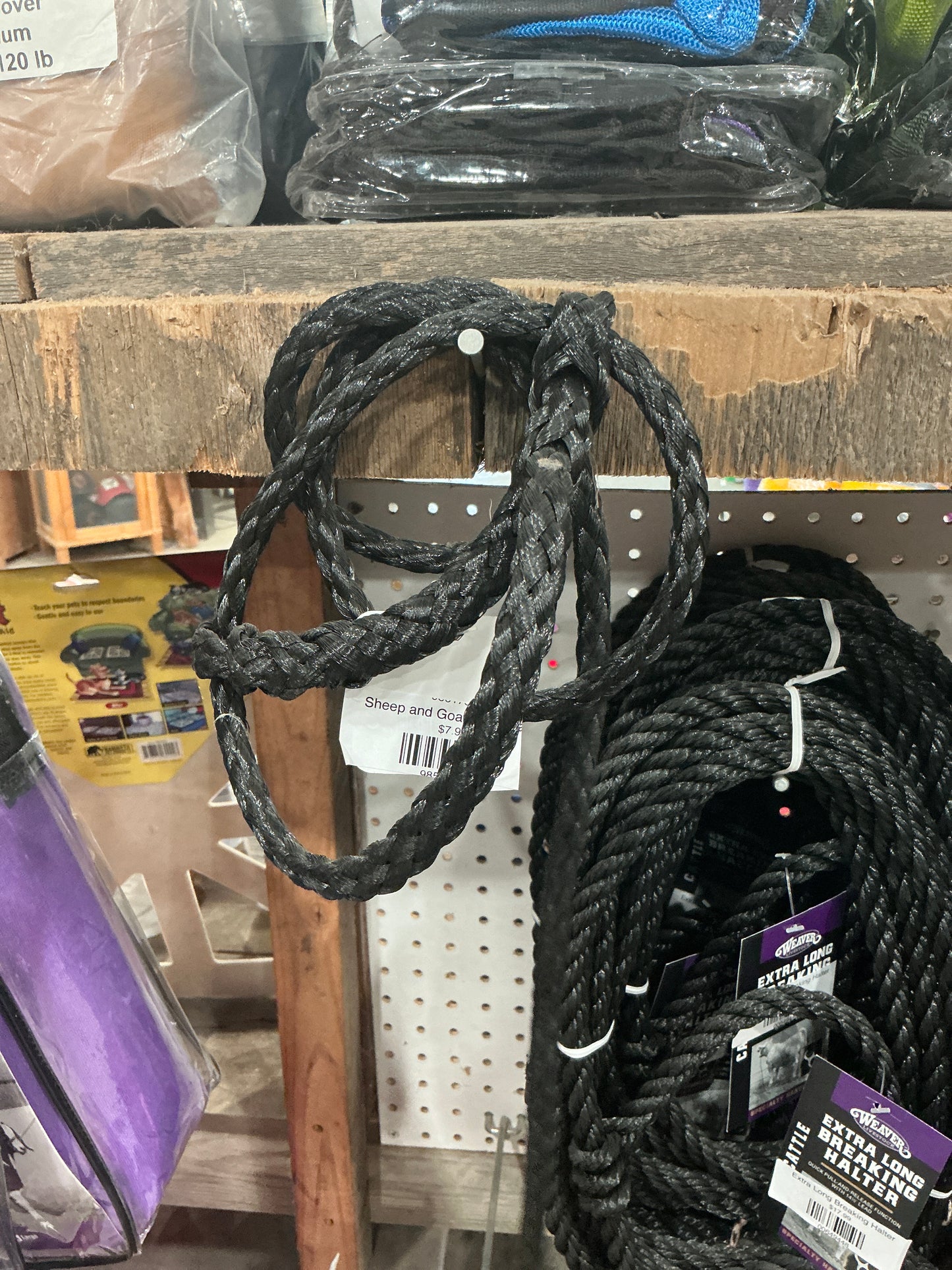 Sheep and Goat Rope Halter