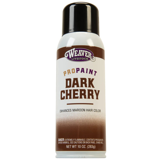 Pro Paint Dark Cherry