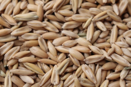 Recleaned oats