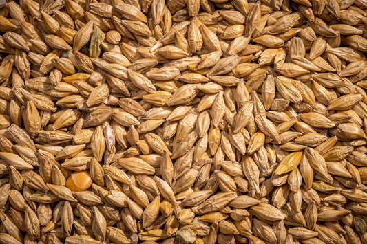 Whole barley