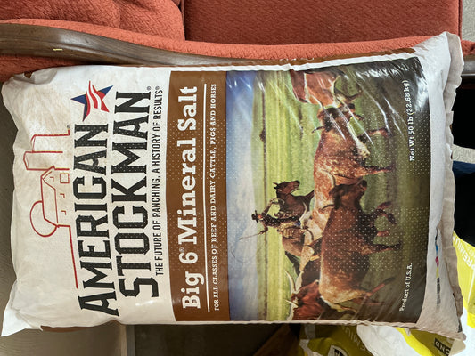 Big 6 mineral salt