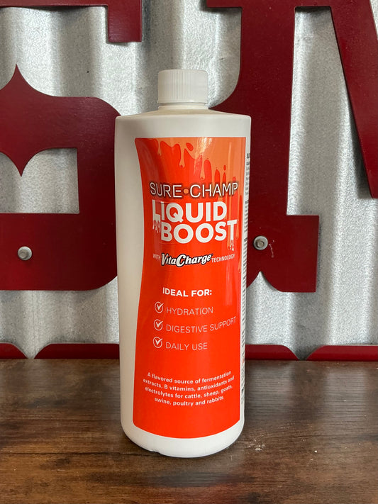 Vita Charge Liquid Boost 32oz