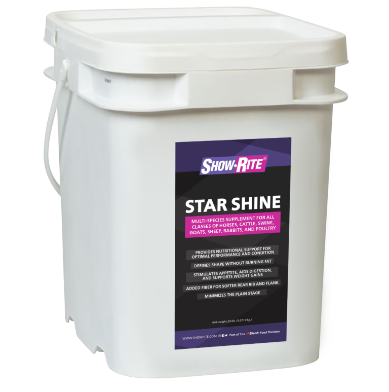 Showrite Star Shine