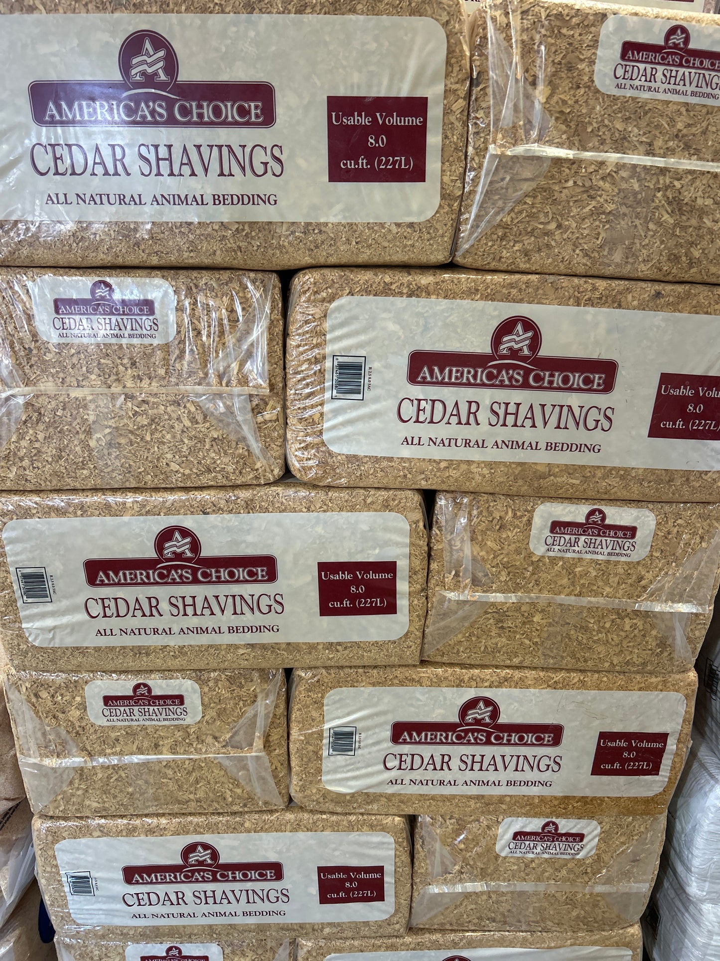Cedar Shavings