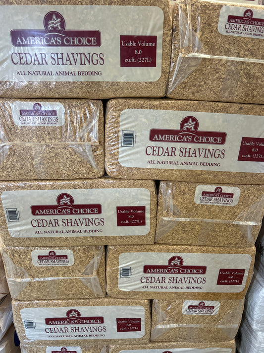 Cedar Shavings