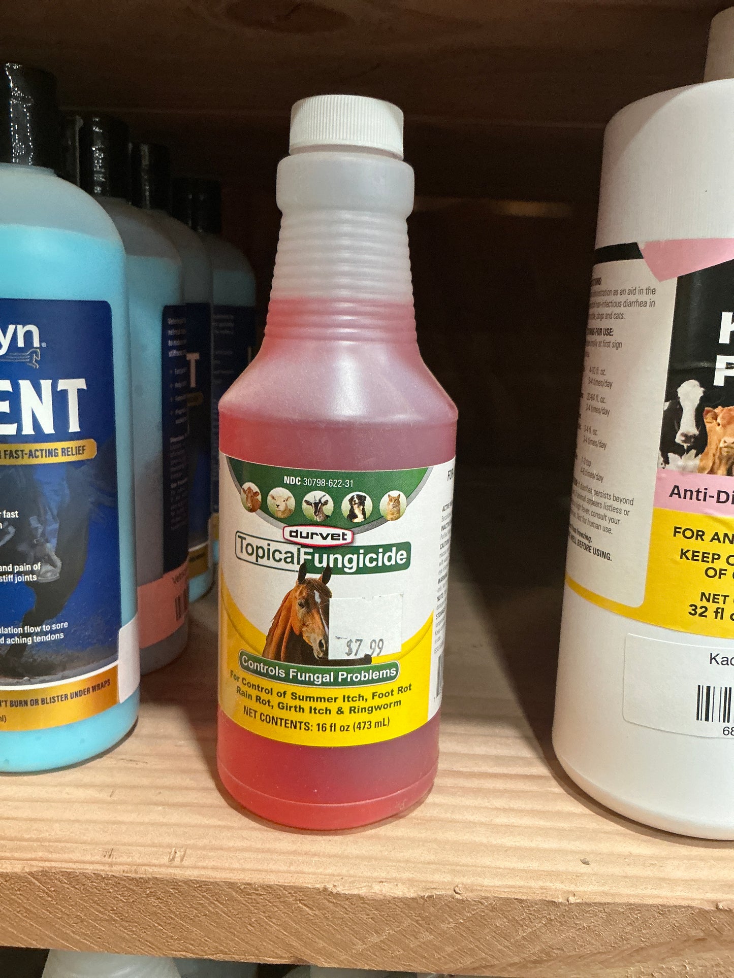 Topical Fungicide