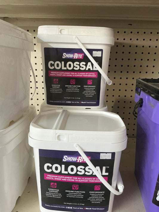 Colossal *