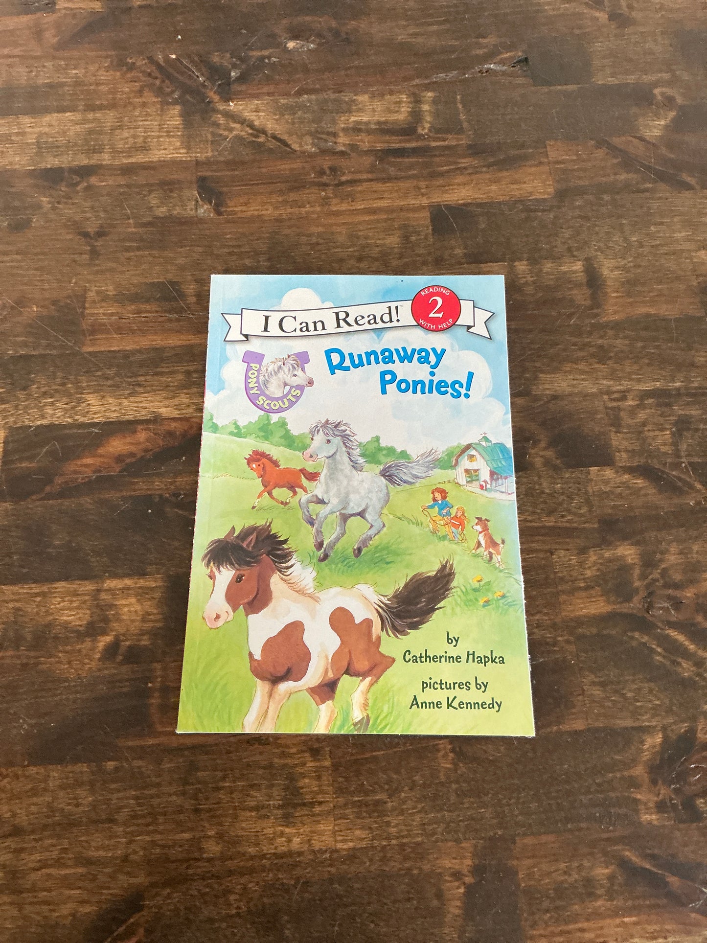 Book — “Runaway Ponies!”