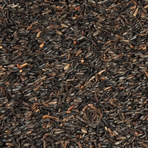 Nyjer Seed 50lb