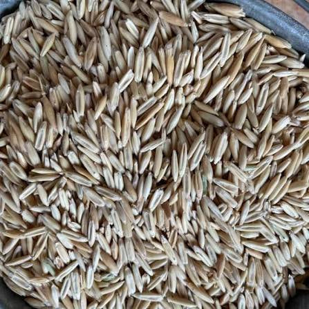 Whole Oats 50lb